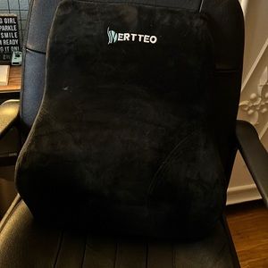Chair backrest. Used for a day.  Like new condition